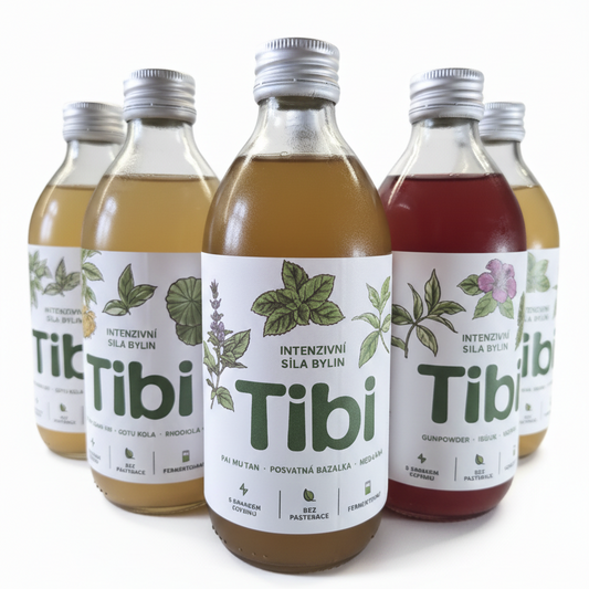 Detail balení Tibi Energy Mix box – 6 lahví přírodního fermentovaného nápoje